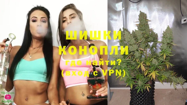ешки Дмитровск