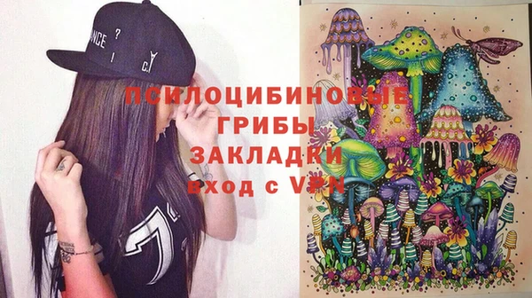 мдма Дмитриев